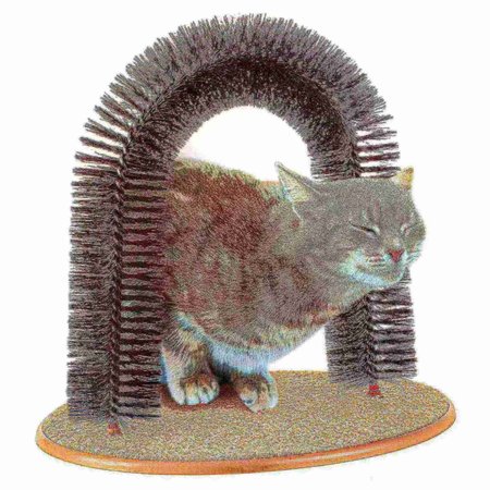 Pet Adobe Self-Grooming Cat Arch with Bristle Ring Brush and Base Groomer | Controlling Healthy Fur and Claws 560876JBM